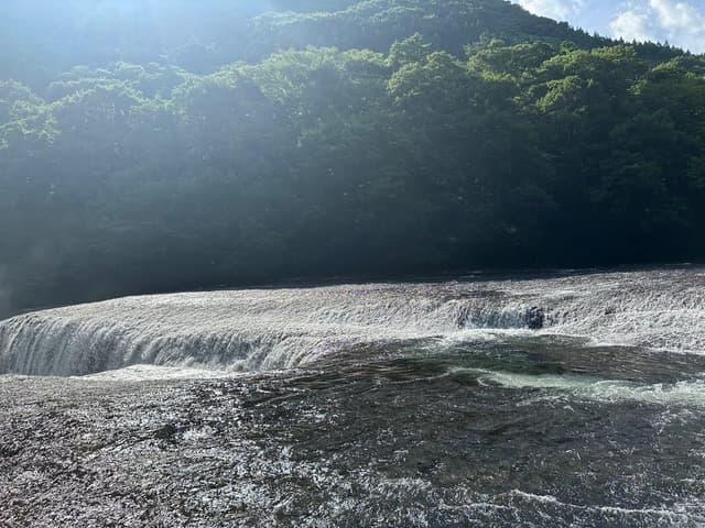 20260519_バニーズ_2.jpeg