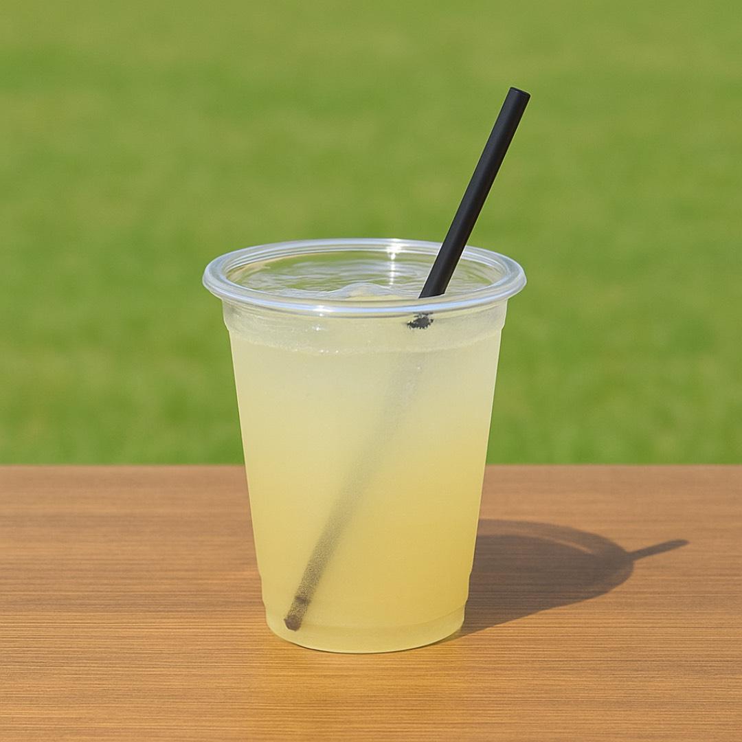20261013_Aハリマ_3.jpg